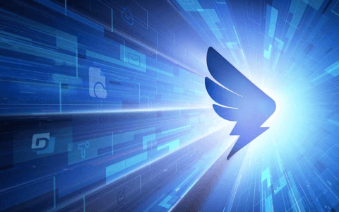 钉钉副总裁林锋：中国百强医院有一半在使用钉钉