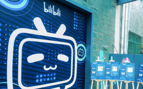 B站“瘦身”，活下去不容易