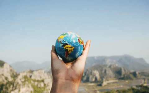 增收减利，同程旅行三季报透露了什么？