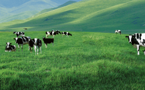 世界杯火热，豪掷重金的蒙牛能否抵御寒气？