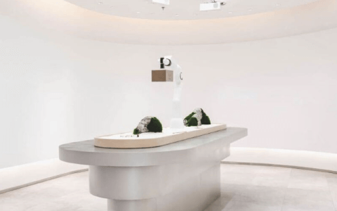 中顺洁柔再推股权激励计划，业绩要求只涉及营收一项