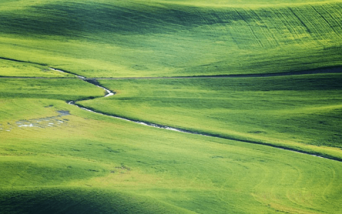 2022，乳企们如何「卷生卷死」？