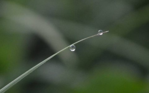 医美茅「爱美客」疲态初现