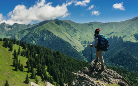 营收、利润双降，同程旅行没有感受到旅游业的“春天”？