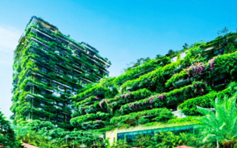 碧桂园亏损60亿，降杠杆有所成效