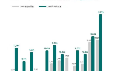 理想汽车，「抠」赢淘汰赛？
