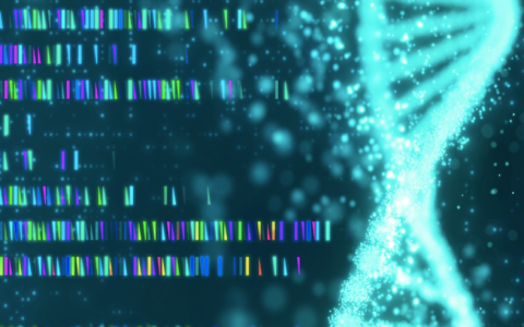 摘B后，诺辉健康的癌症早筛故事要怎么讲？