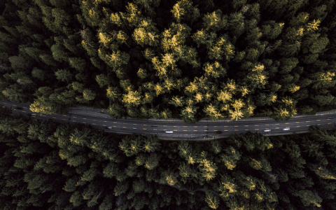 长城「杀迪」目的何在？