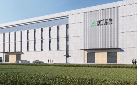 跌幅近33%！绿竹生物港股首秀迎“当头一棒”