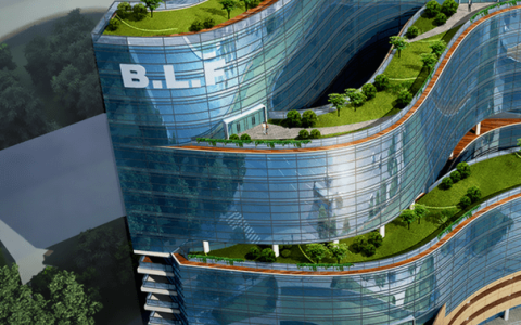 谢秉政闷声发大财，比音勒芬是否稳了？