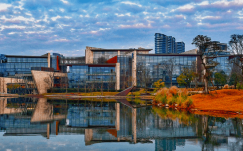 「狼性」汪俊林，郎酒不甘心？