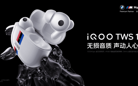 真无线亦能真无损 “无损音质 声动人心”iQOO TWS 1发布