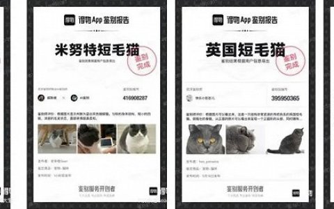 得物悄悄盯上宠物经济