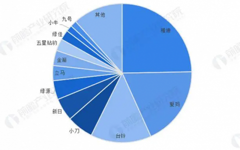 谁能成为“两轮蔚来”？