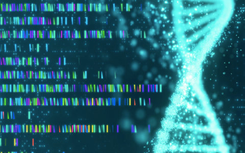 力破质疑，诺辉健康朱叶青直言诺辉增长没有秘密