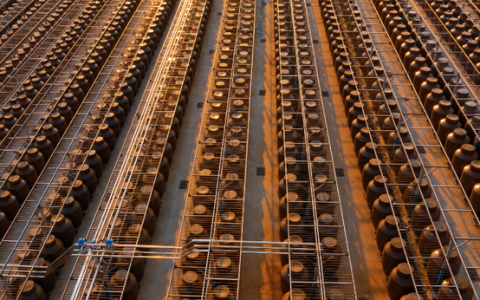 汪俊林VS经销商，郎酒定调未来之路