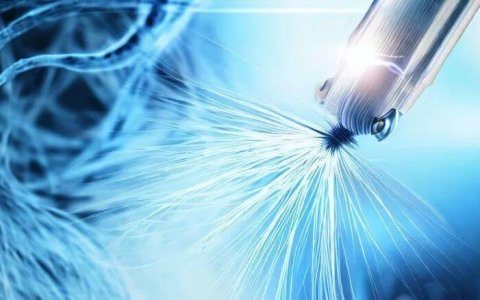 碧莲盛，「不剃发」植发的生意经