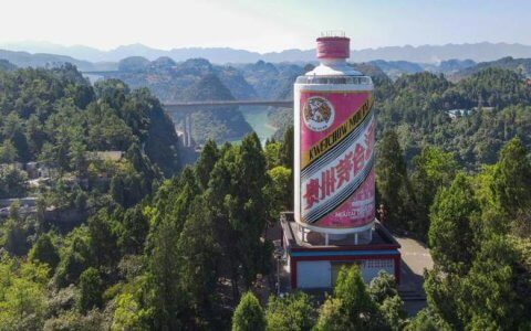 白酒五朵金花2023半年报总结