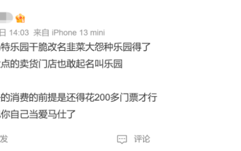 泡泡玛特市值较高点蒸发超千亿港元，主题乐园会是“新希望”吗？