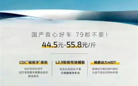 奇瑞瑞虎9按斤卖引关注，上一家这么干的车企已被申请破产