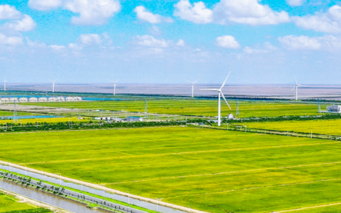 150亿元募资告吹，正大股份放弃IPO背后的三大可能原因