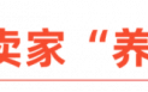 从深圳出发，成为东南亚头部卖家