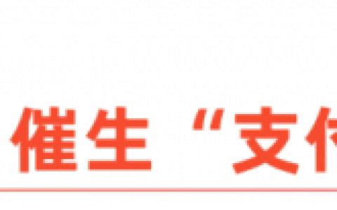 东南亚，难以复制“支付宝”