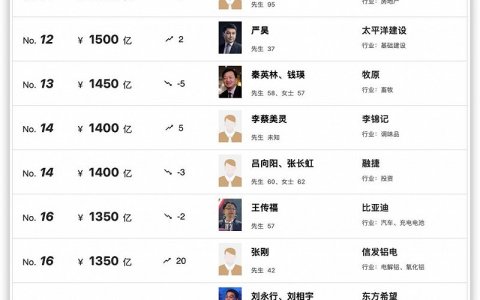 斩获4万倍投资回报率，携手表弟王传福登上胡润百富榜，吕向阳：比亚迪难再寻