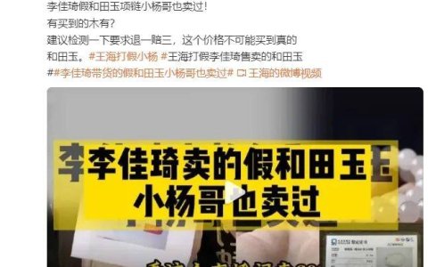 盯着李佳琦小杨哥打？王海：未专门挑选， 打假是非营利项目