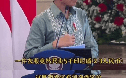 紧张的印尼直播电商：600万卖家何去何从？