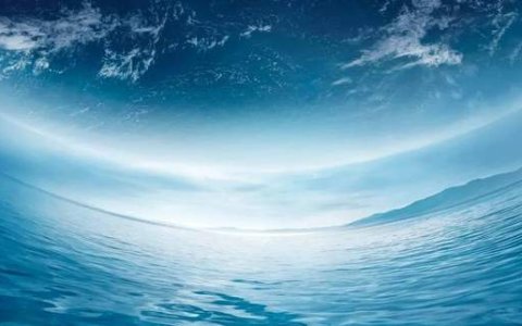 长城汽车的战略、业绩、全球化，听听三位高管如何解读？