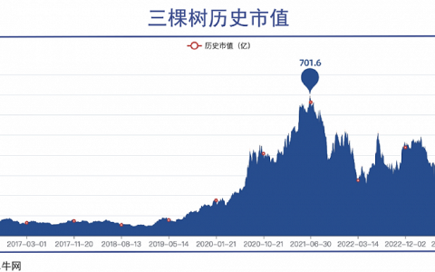 “莆田首富”大缩水