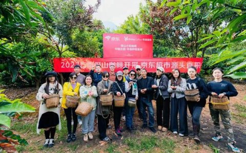 云南保山咖啡新产季开采：预计年产约2.2万吨 品质提升价格更亲民