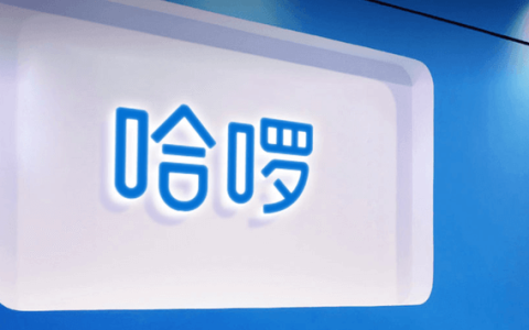 哈啰发布内部信，通报高层严重违纪