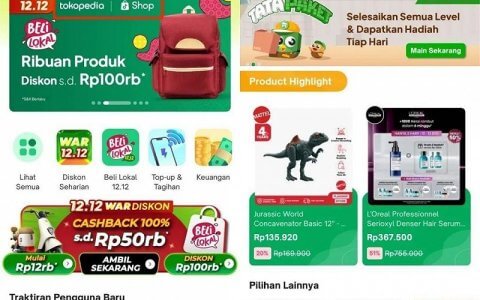 TikTok控股Tokopedia：印尼重启直播带货