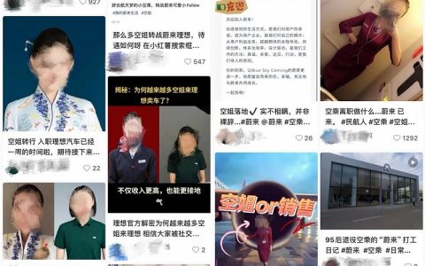 完蛋！我被蔚小理的“空姐”销售包围了！