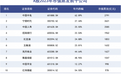 谁在宁德时代的山顶站岗？
