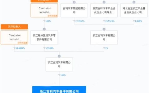 李书福新出一招