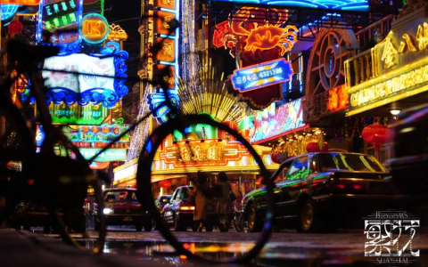 宋向前：《繁花》追忆一个发光的时代