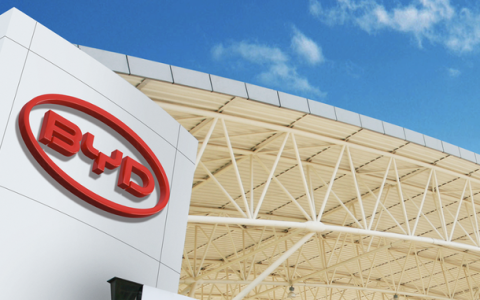 比亚迪「疯了」：去年日赚8000万