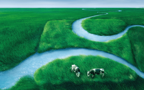 蒙牛高飞：清楚蒙牛问题，也懂行业变化