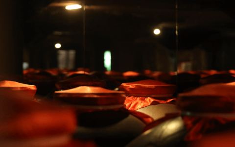 千亿郭广昌的白酒局，舍了什么，得了什么？