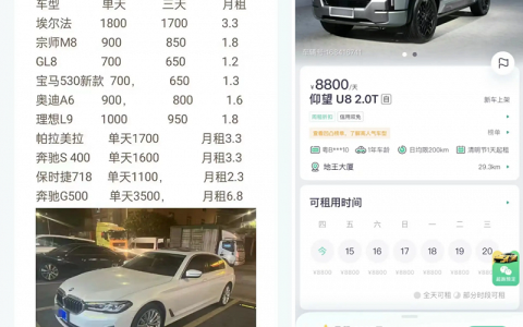 租金堪比劳斯莱斯，新能源豪车租赁生意有多火？