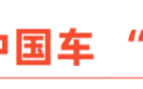 中国车出海“四小龙”，战队成形