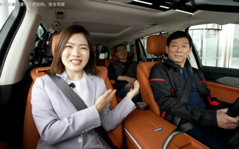 保定魏建军和北京雷军「好上了」