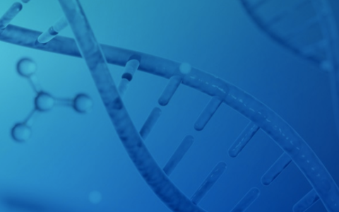 透视财报，华大智造的「击球区」出现了吗？