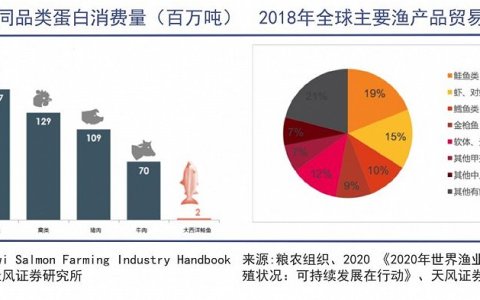 中国爆买全球三文鱼