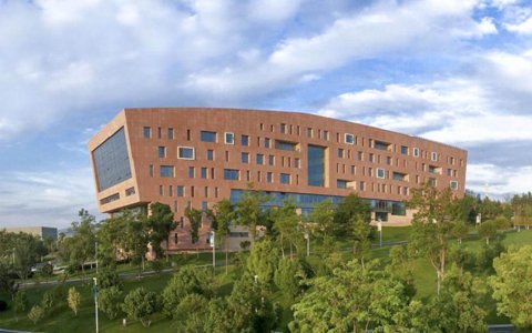 云南白药，谁说了算？