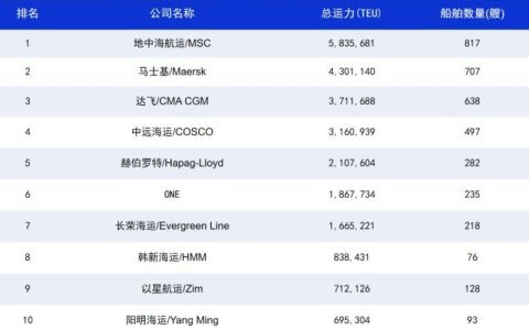 中国企业出海，如何实现物流航运的新突破？