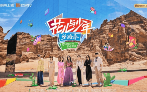 芒果TV十年涅槃路